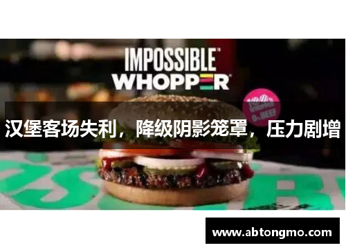汉堡客场失利，降级阴影笼罩，压力剧增