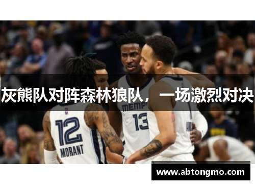 灰熊队对阵森林狼队，一场激烈对决