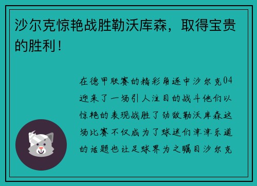 沙尔克惊艳战胜勒沃库森，取得宝贵的胜利！